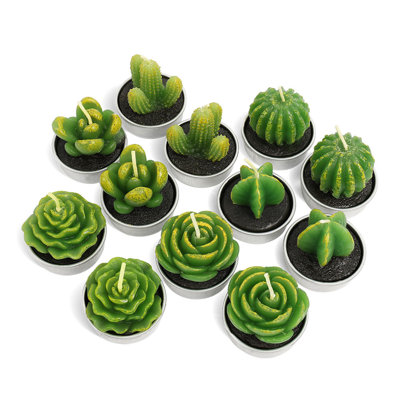 Ensemble de bougies 12 pièces Cactus