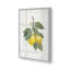 «Lemon Harvest I»-1948485500-1948485503