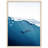 Shark Near Surface Print Wall Art - Ocean Wildlife Poster - Great White Shark Sea Scape Artwork - Underwater Marine Nature Print - Coastal Nautical Home Decor - Minimalist Ocean Wall Art - Adventure Sea Inspired Gift-693063375-693063413