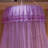 Bed Canopy