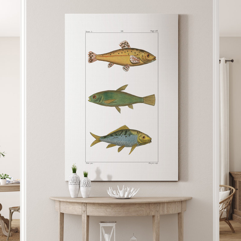 Reproduction d’art sur toile tendue « aquarium d’eau douce », H 27 po x l 18 po x P 1 po