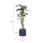 77,57 po Faux plante Monstera en pot-898658634