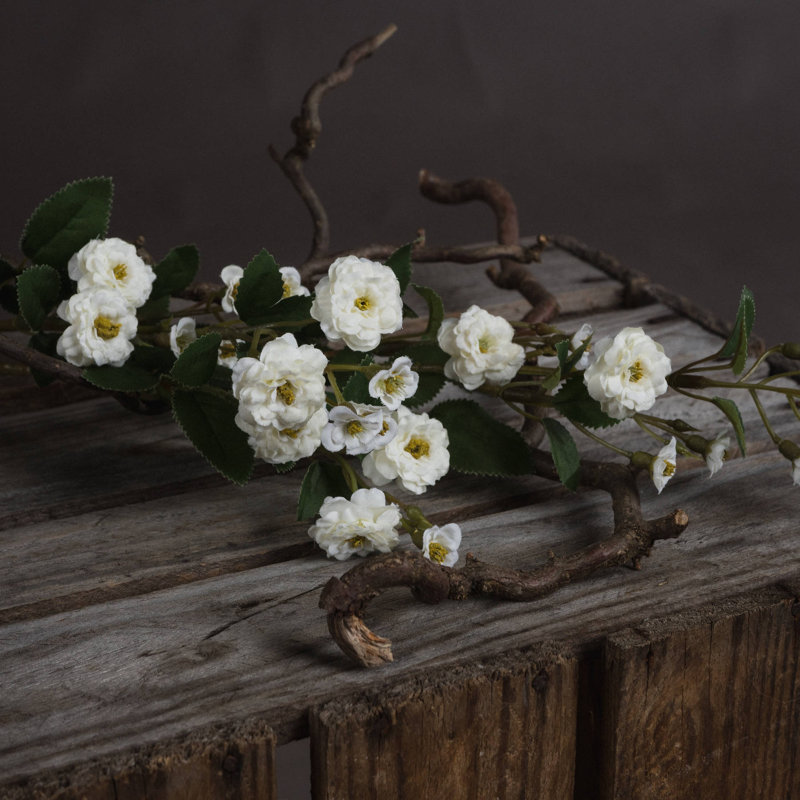 Arrangement, White