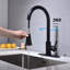 Robinet de cuisine avec douchette extractible