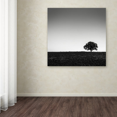 «One Tree Hill», reproduction de photo sur toile tendue
