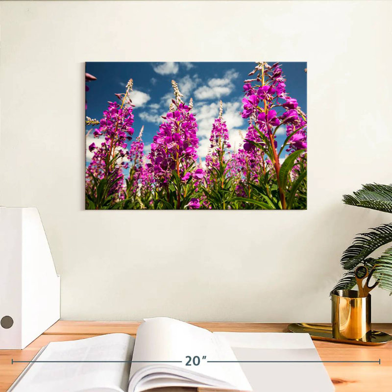 Fireweed Blooms, 8" H x 12" W