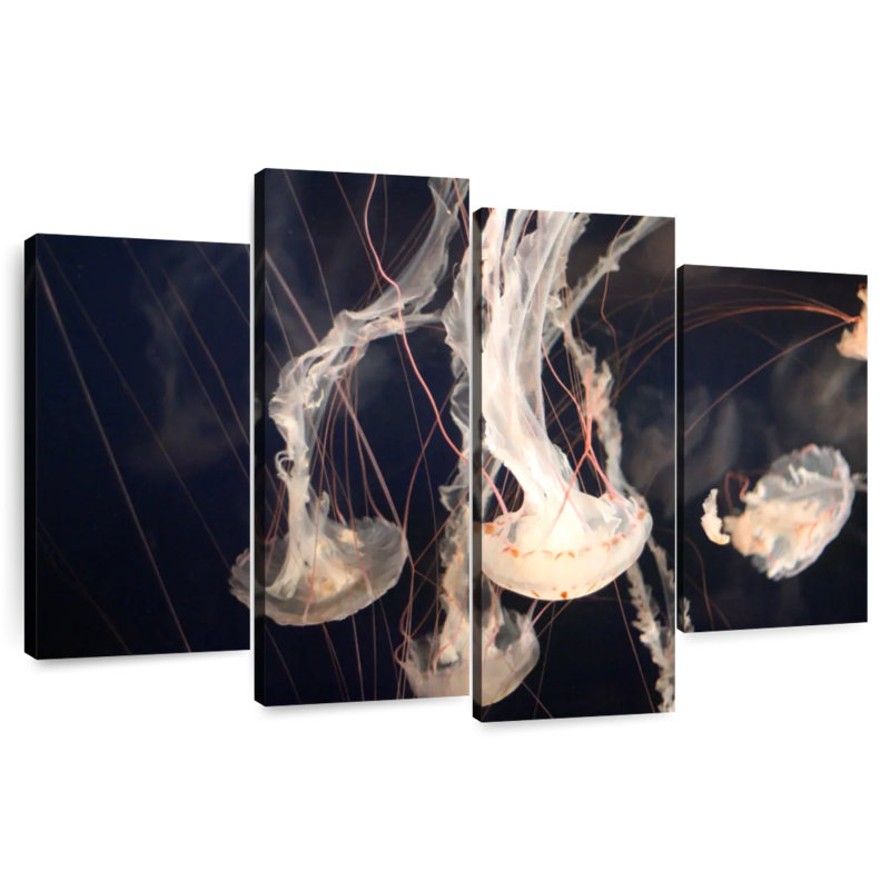 Brampt Light Of Jellyfish