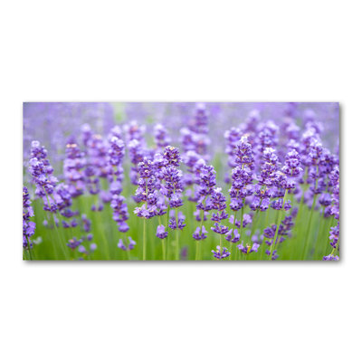 Lavender - Wrapped Canvas Print
