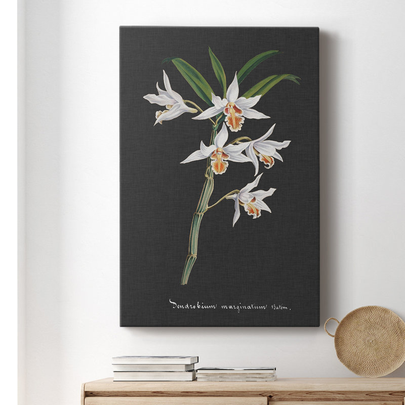 Orchidée sur ardoise IV - impression sur toile tendue, H 18 po x l 12 po x P 1,5 po