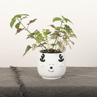 Cache pot Davyon
