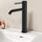 Bathroom Faucet-117496309