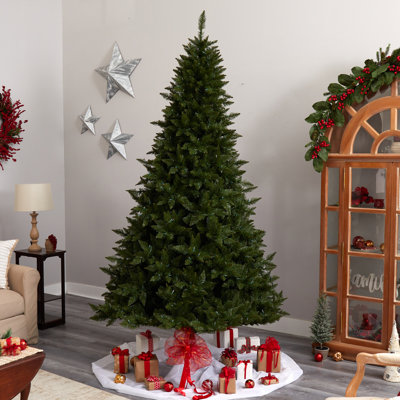Lighted Christmas Tree