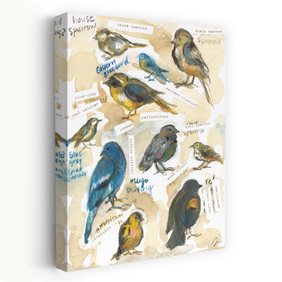 Tennessee Birds - Contemporary Birds Sparrow Eastern Bluebird Art