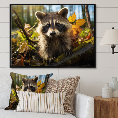 Raton laveur - reproduction d'art sur toile