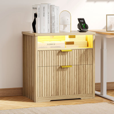 73cm Wide 2 -Drawer File Cabinet
