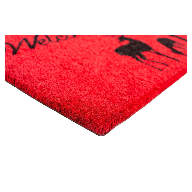 Amiela Non-Slip Outdoor Doormat