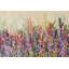 Spring Fields Painting by Sie Douglas-Fish