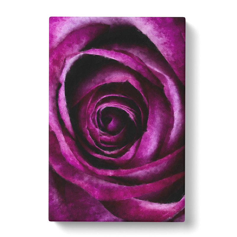Striking Purple Rose - Wrapped Canvas Painting, 76cm H x 50cm W x 3cm D