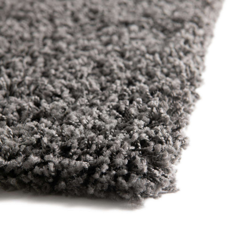 Lanzilotta Indoor Rug, Round 4'