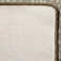 Imagine Nature's Expression Dapple Fawn Area Rug