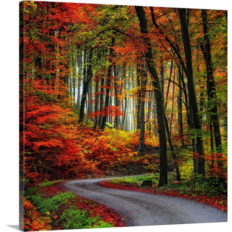 « color way », reproduction de photo sur toile, H 12 po x l 12 po x P 1,5 po