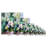 " Flowers 31 "-1865740862