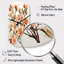 Horloge murale Peach Blossom Bliss IV-105419616