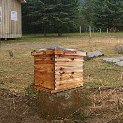 Ensemble de démarrage complet pour les apiculteurs débutants : ruche à 10 cadres et accessoires, enduite de cire d’abeille 100 % naturelle, comprenant 1 hausse et 1 corps de ruche avec cadres et cire gaufrée.