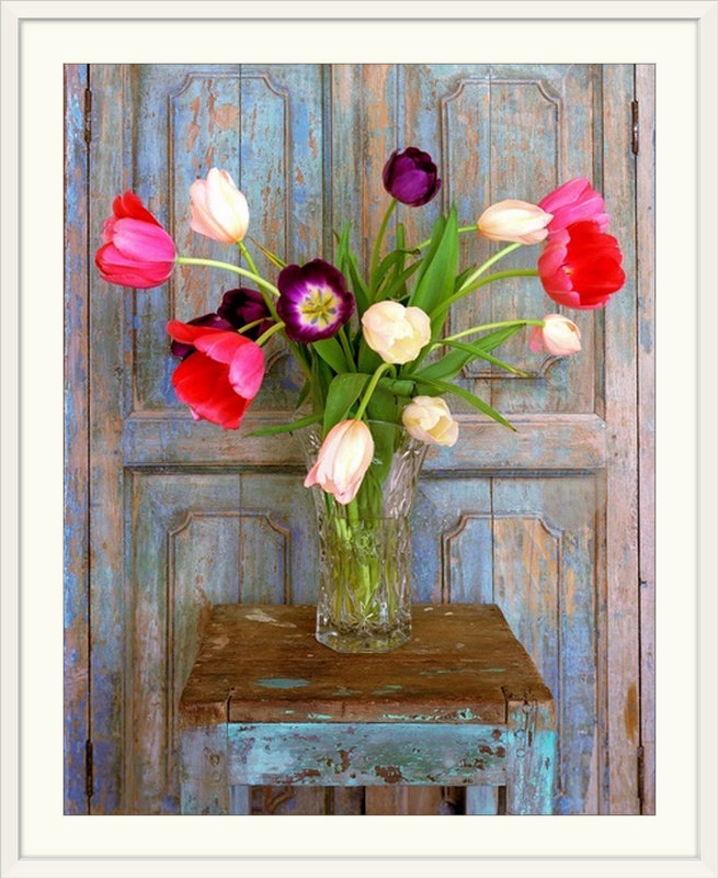 «Tulips, Mexico» par Alan Klug, reproduction de photo, Cadre noir, H 38 po x l 32 po x P 1 po