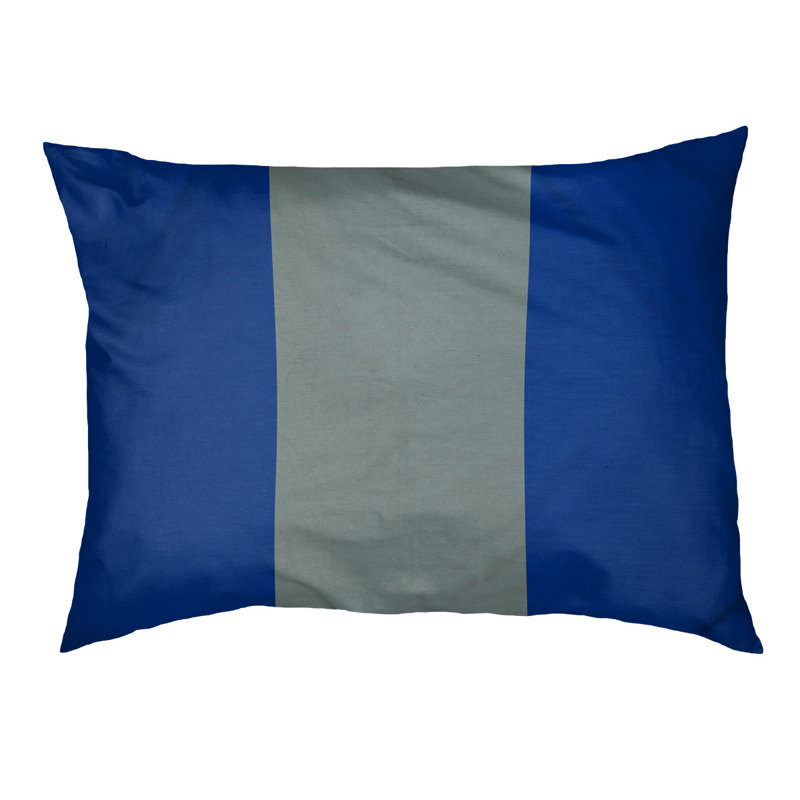 Coussin pour chien Arizona Tempe, Moyen (l 28 po x P 18 po x H 6 po), Bleu / Argent