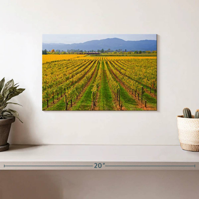 Alvord Vast Napa Valley Winery, H 8 po x l 12 po