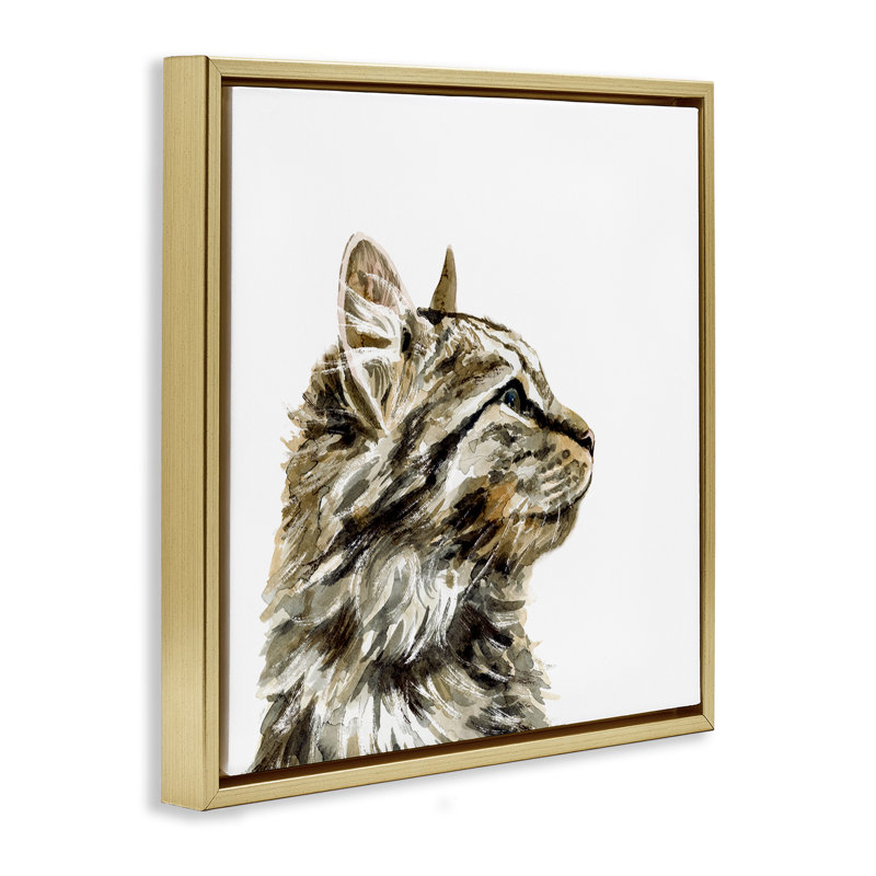 «Simple Tabby Cat Gaze Grain», art mural sur toile flottante par Victoria Barnes, Cadre flottant métallique doré