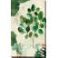 «Nature Story III» par Laura Horn - peinture-65863647-65863648