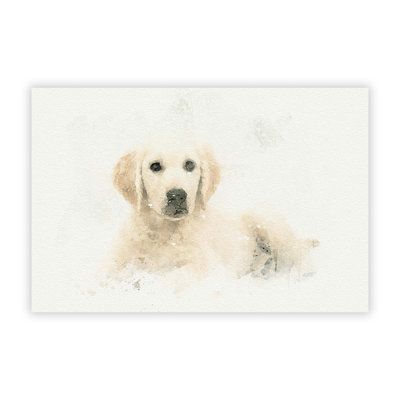 A Golden Retriever Puppy - Frameless Print