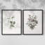 «Vintage Floral XXV», impression giclée sur cadre - ensemble de 2-1839849056-1839849061