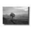  «Morning Haze 2» par Lori Deiter, art mural sur toile-241923821