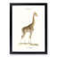 Giraffe by Florent Prevos - Picture Frame Painting Print-55608311-55608312