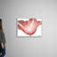"Coral Blossom 1" par Albert Koetsier, reproduction d’art sur toile-881097186-881097191