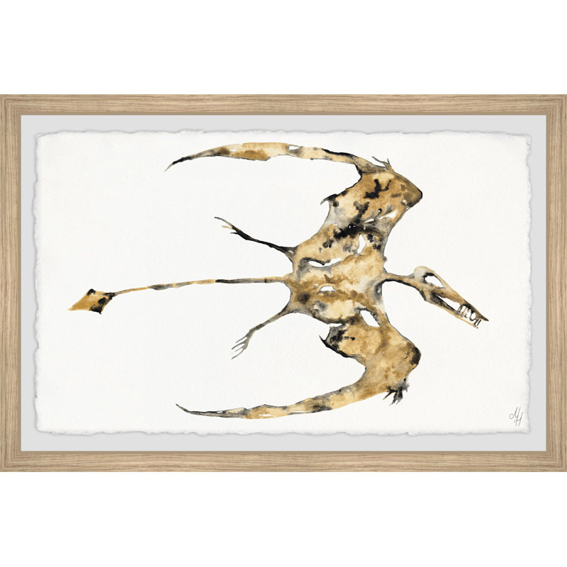 Exton Elias Pterodactyl Fossil - Single Picture Frame Painting, 61cm H x 91cm W