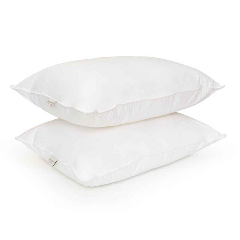 Queen White Hypoallergenic Polyester Down Alternative Pillow Set