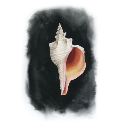 Conch On Black II - Painting