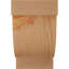 Corbeau alpin-1059789695-1059789617-1059789616