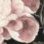 Floral Wallpaper-1585909229