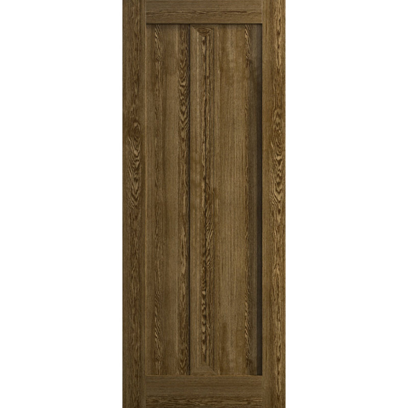 Panneau de porte à dalle | Ego 5006 | Portes en placage de bois | Pochette coulissante à poche, 32 po x 96 po, Chêne marbré