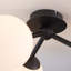 Haslett Glass Spotlight