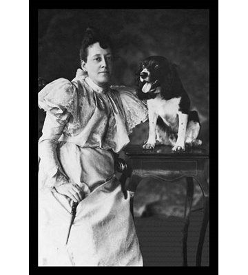 " Springer Spaniel And Woman "