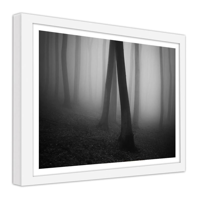 Gerahmter Fotodruck Forest In Fog 2