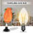 Himalayan Glow 15 Watt E12/Candelabra Dimmable 2500K Light Bulb