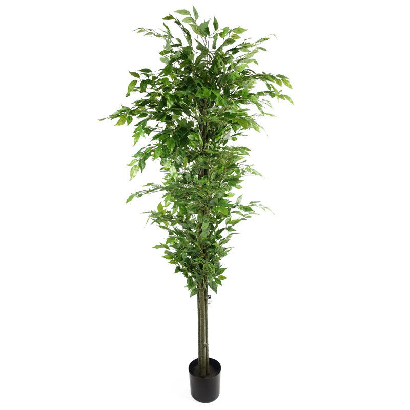 Anastassios 180cm Faux Ficus Tree in Pot
