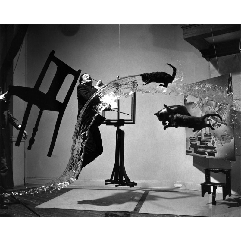 Dali Atomicus, 28" H x 35" W